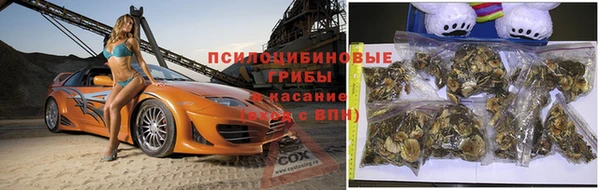 эйфоретик Зеленокумск