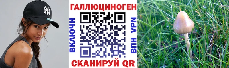 Галлюциногенные грибы ЛСД  Купить  Лениногорск 