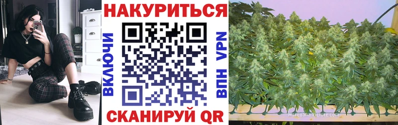Купить закладки  Лениногорск  Шишки марихуана Ganja 